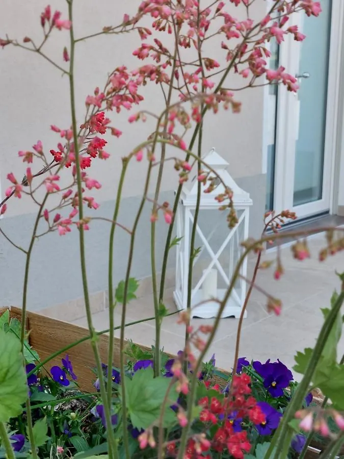 Casa Autunno Hotel Monzambano Guest house