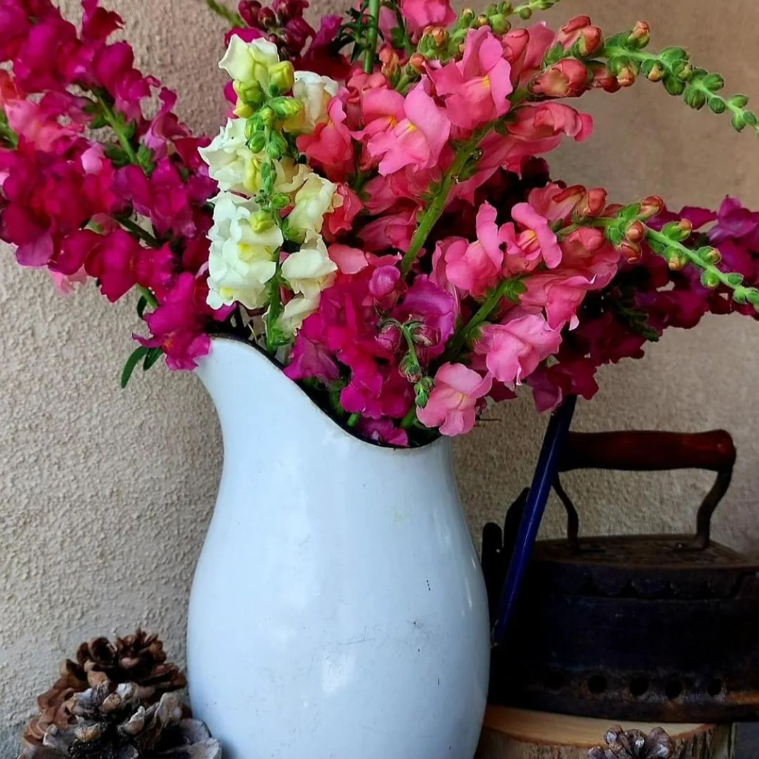 Guest house Casa Autunno Hotel Monzambano Italy